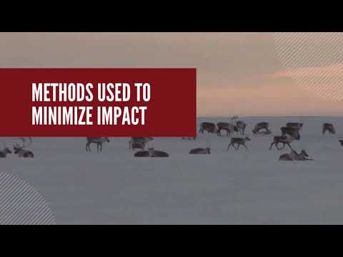 Chance Oil and Gas - Yukon Seismic Exploration