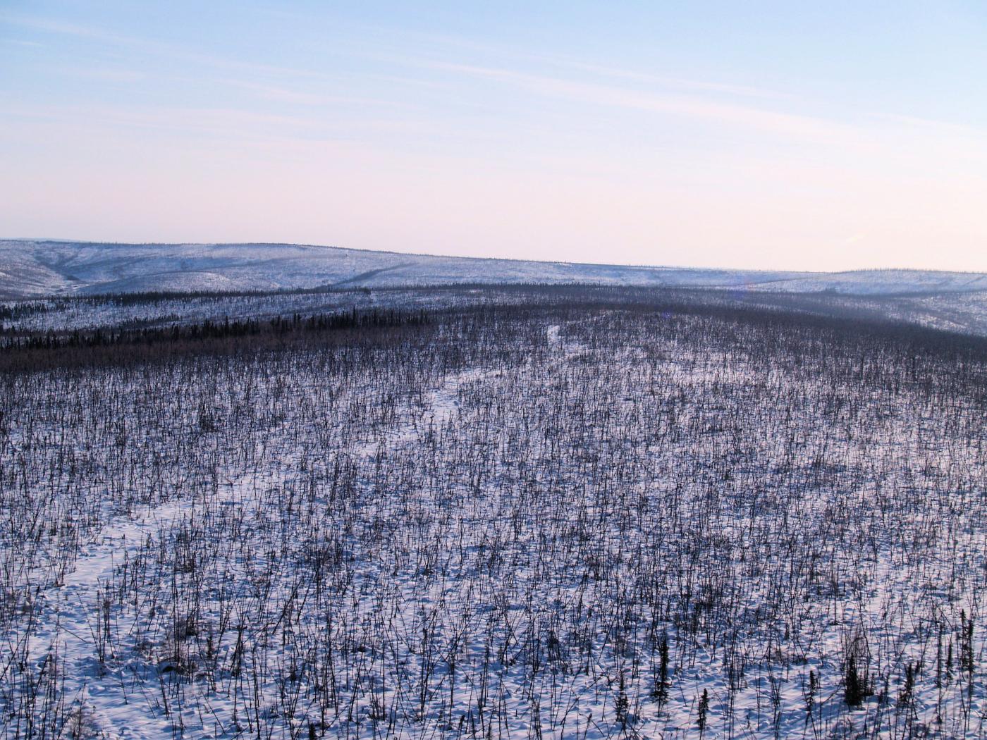 Chance Oil & Gas Yukon-based businesses